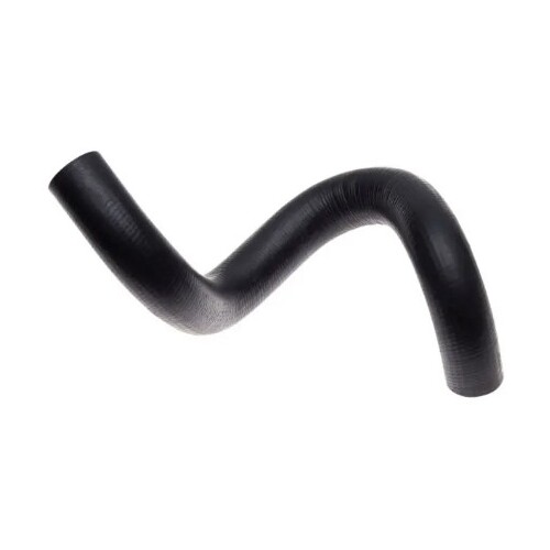 Lower Radiator Hose