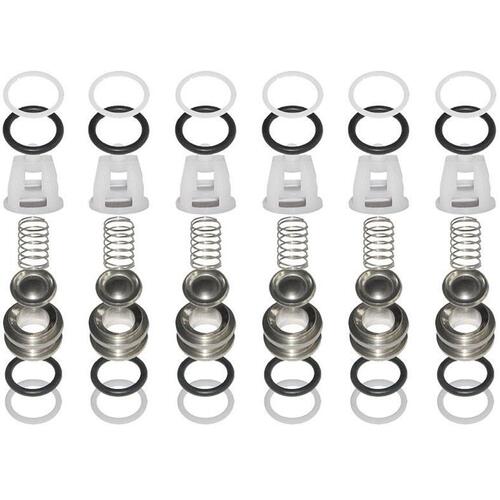 Valve Kit (Suction/Delivery)