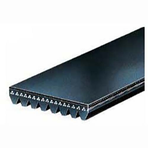 12 Ribbed Belt Series 2401mm L Heavy Duty