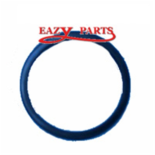 Gasket Thermostat