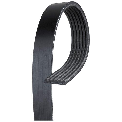 6 Ribbed Belt Series 2275mm L