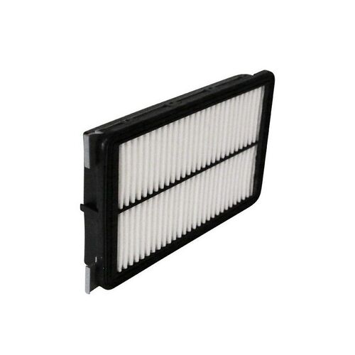 Ryco Air Filter