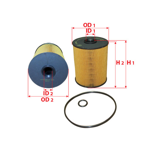 Fuel Filter