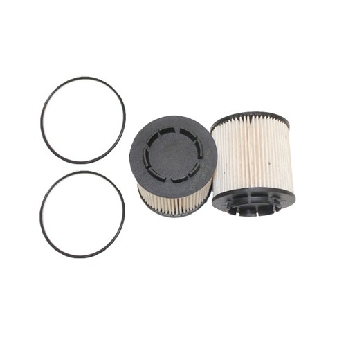 Fuel Filter Pair