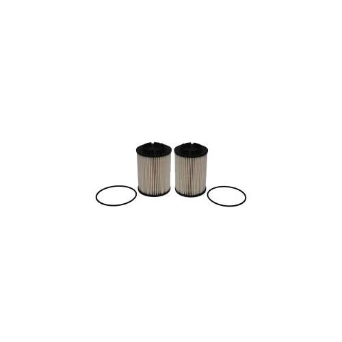 Fuel Filter Pair