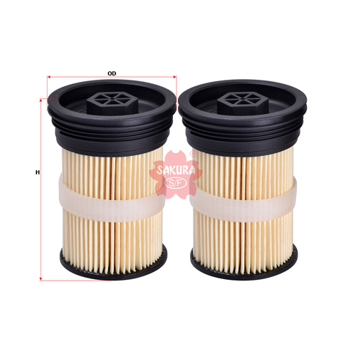 Fuel Filter Pair