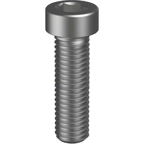 Screw Socket Cap Pln M24X45