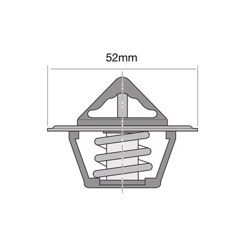 Tridon Thermostat