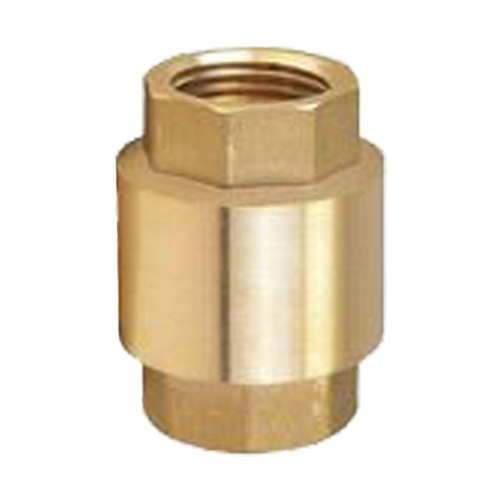 Spring Check Valve 50mm