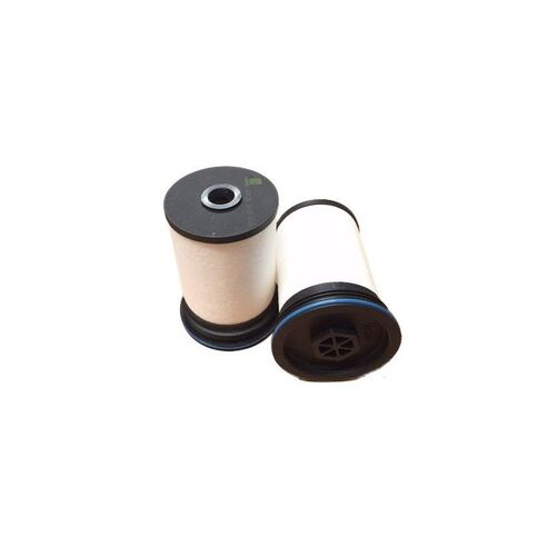 Fuel Filter Pair