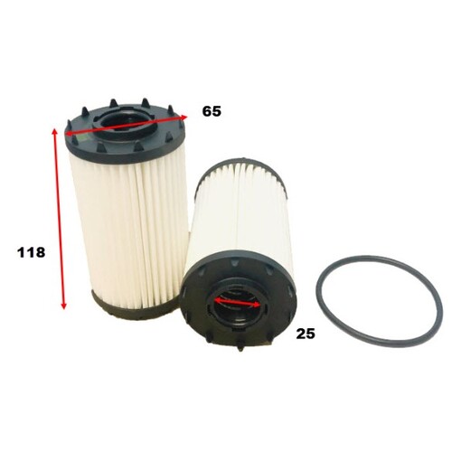 Oil Filter R2857P Audi/Porsche